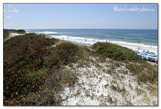 Beaches of South Walton Photograph