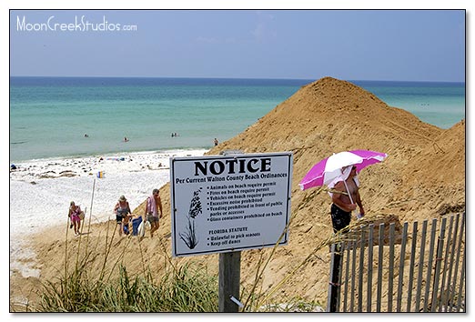 Beaches of South Walton Photograph