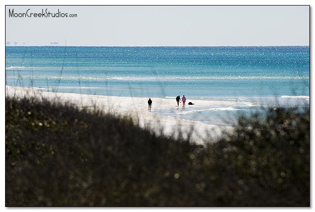 Beaches of South Walton Photograph