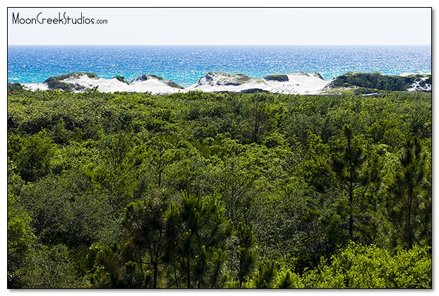 Beaches of South Walton Photograph