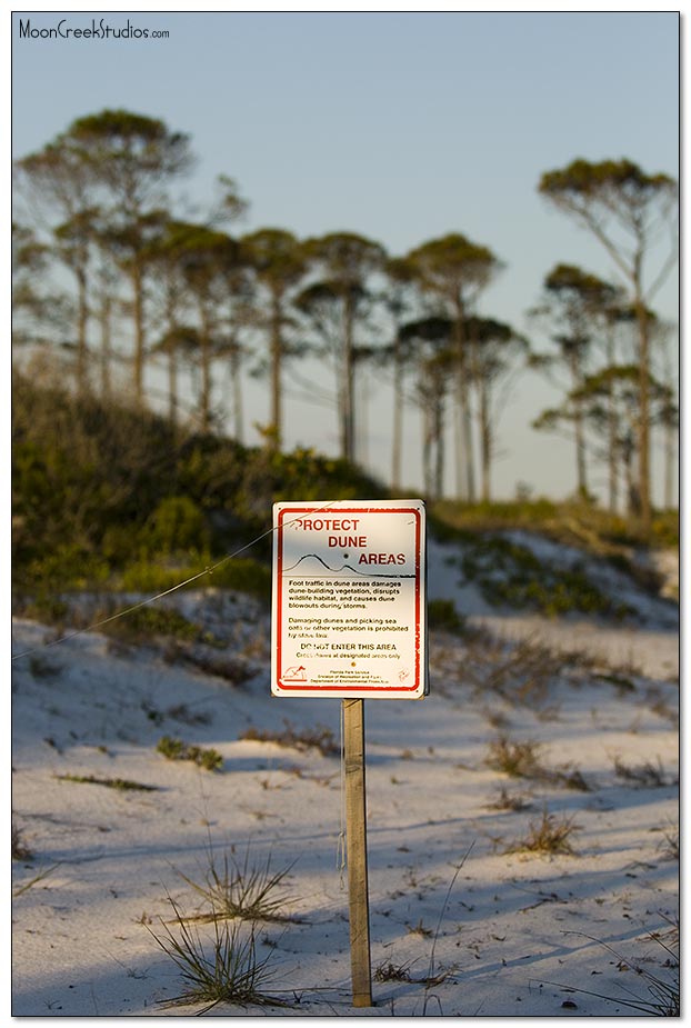 Beaches of South Walton Photograph