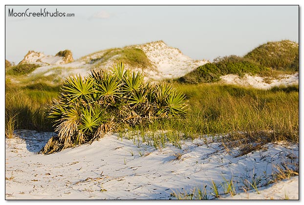 Beaches of South Walton Photograph