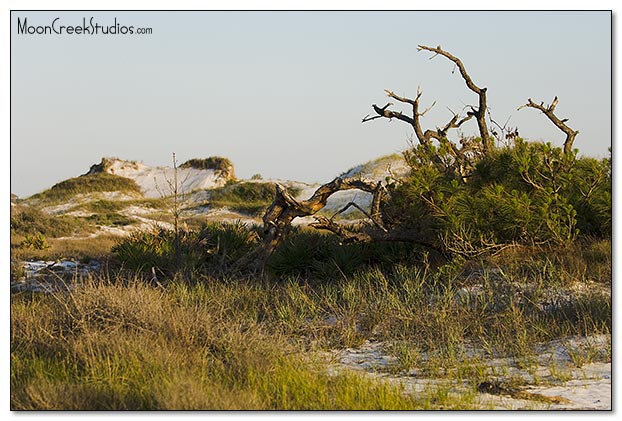 Beaches of South Walton Photograph