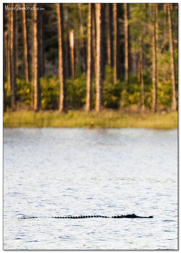 Beaches of South Walton Photograph