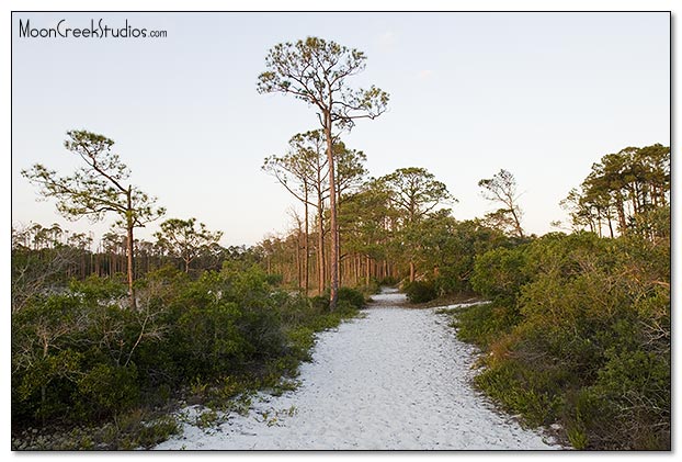 Beaches of South Walton Photograph