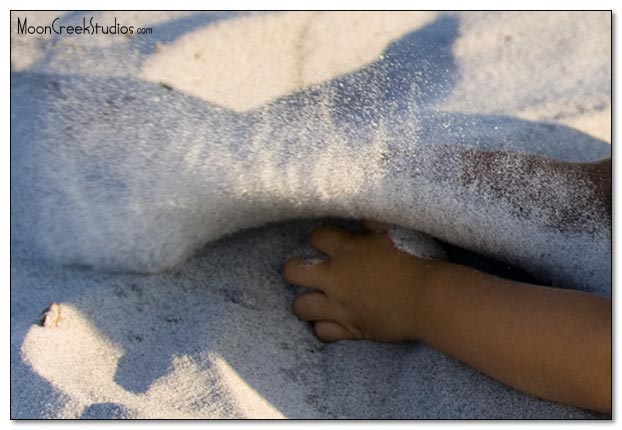 Beaches of South Walton Photograph