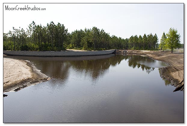 Beaches of South Walton Photograph