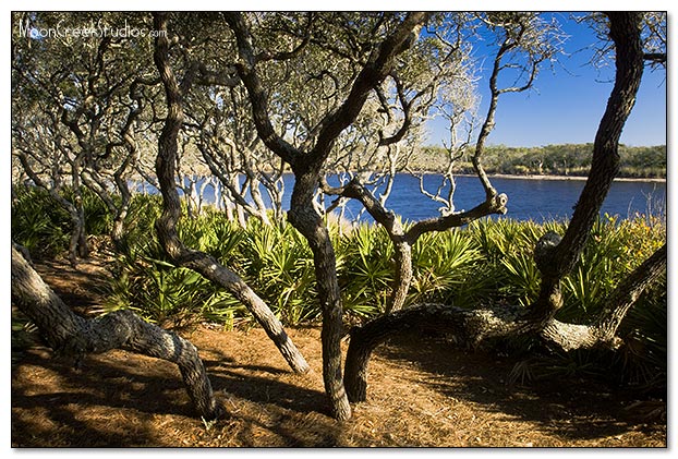 Beaches of South Walton Photograph