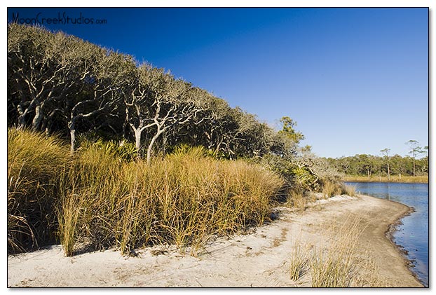 Beaches of South Walton Photograph