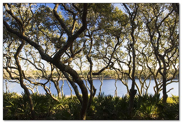 Beaches of South Walton Photograph