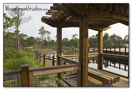 Beaches of South Walton Photograph