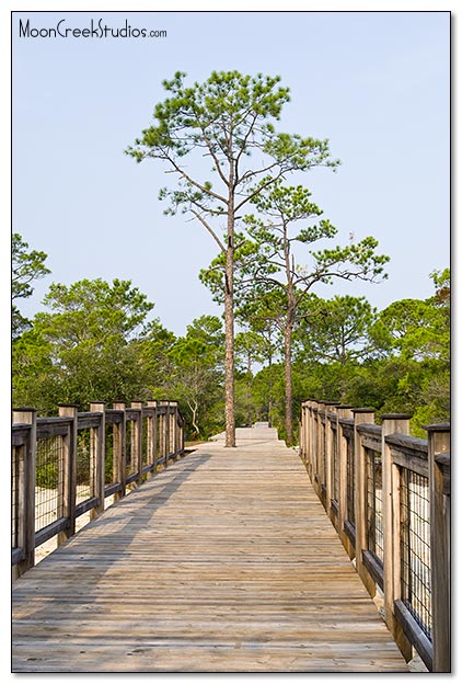 Beaches of South Walton Photograph