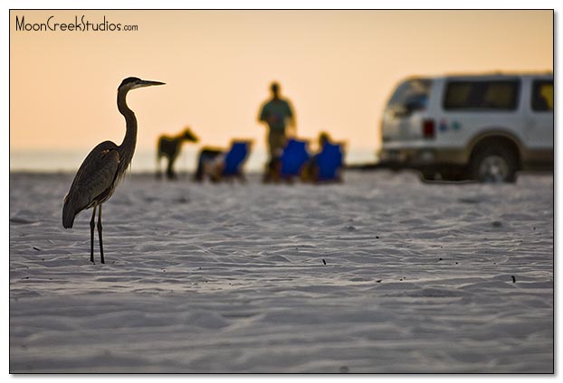 Beaches of South Walton Photograph