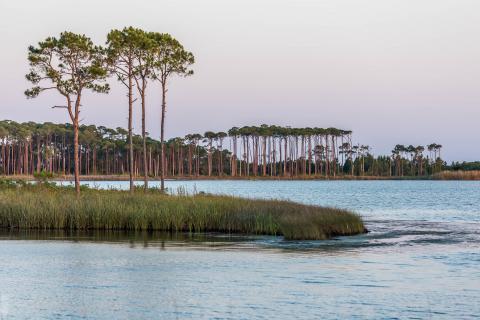 Grayton Beach State Park Named Top Ten Beach
