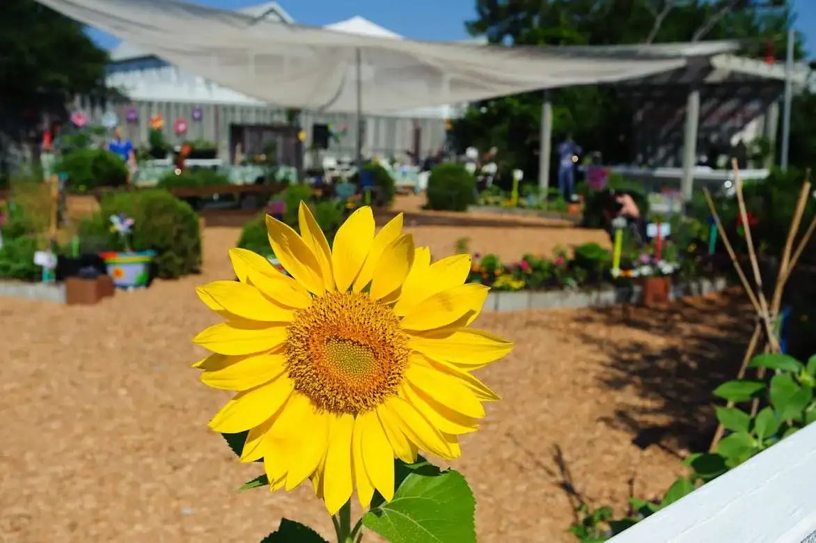 Emeril Lagasse at Seaside Neighborhood School Corner Garden