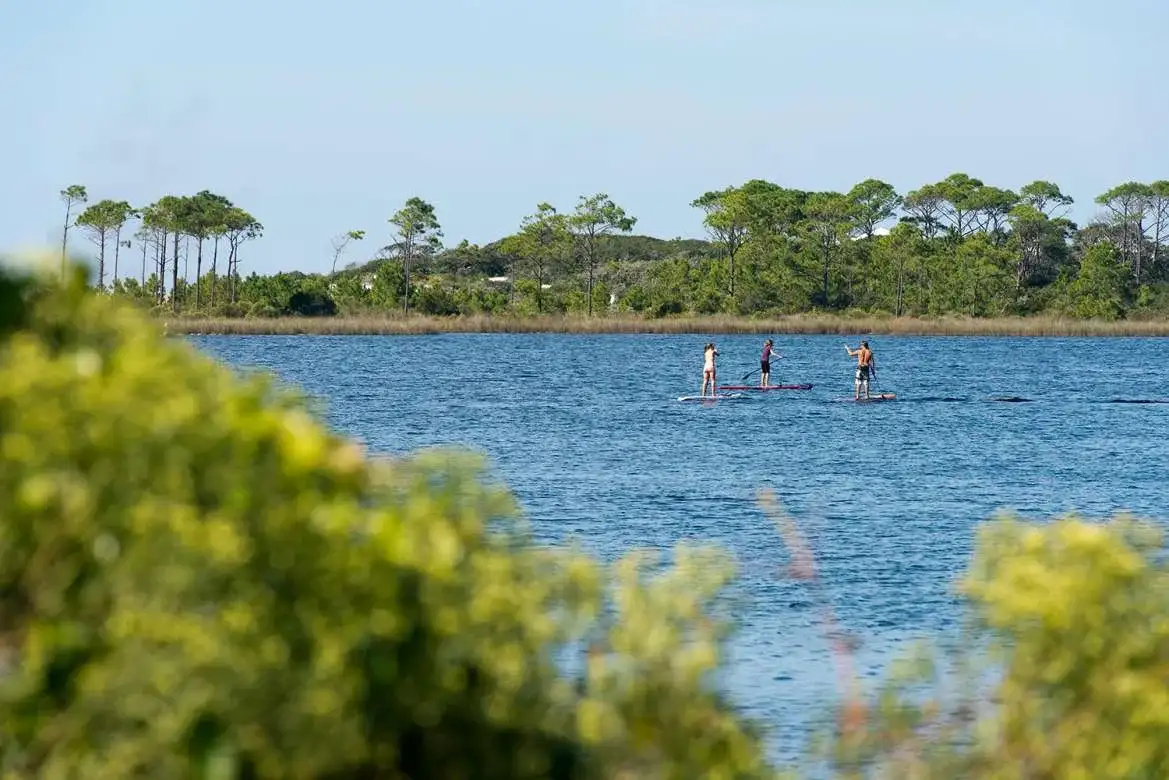 World Paddle for the Planet 2013 Photos