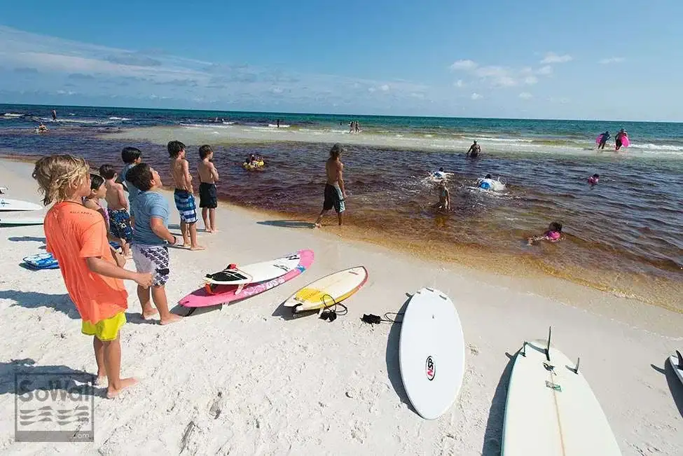 Surf Lessons at Grayton Beach