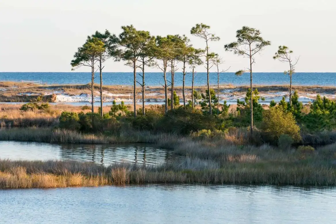 Camp Helen State Park
