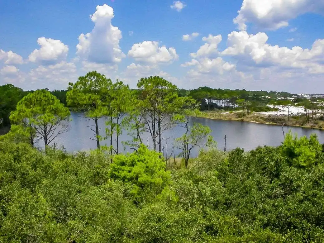 Alligator Lake