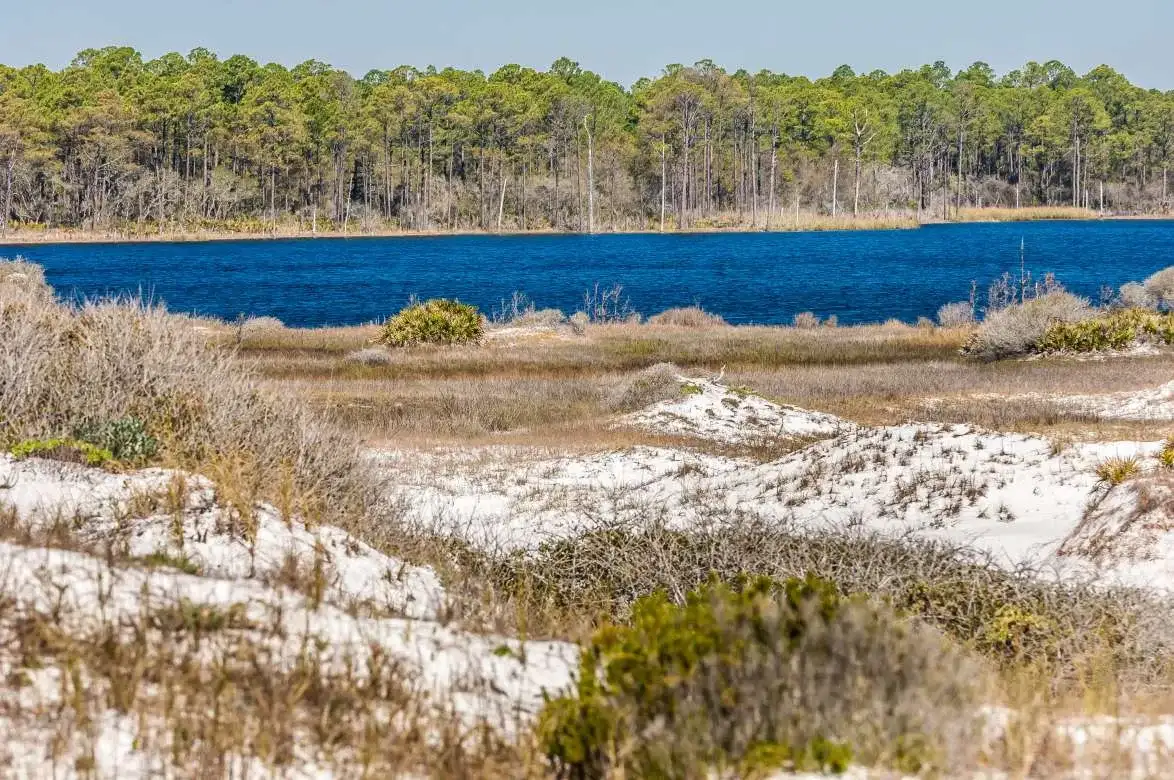Deer Lake