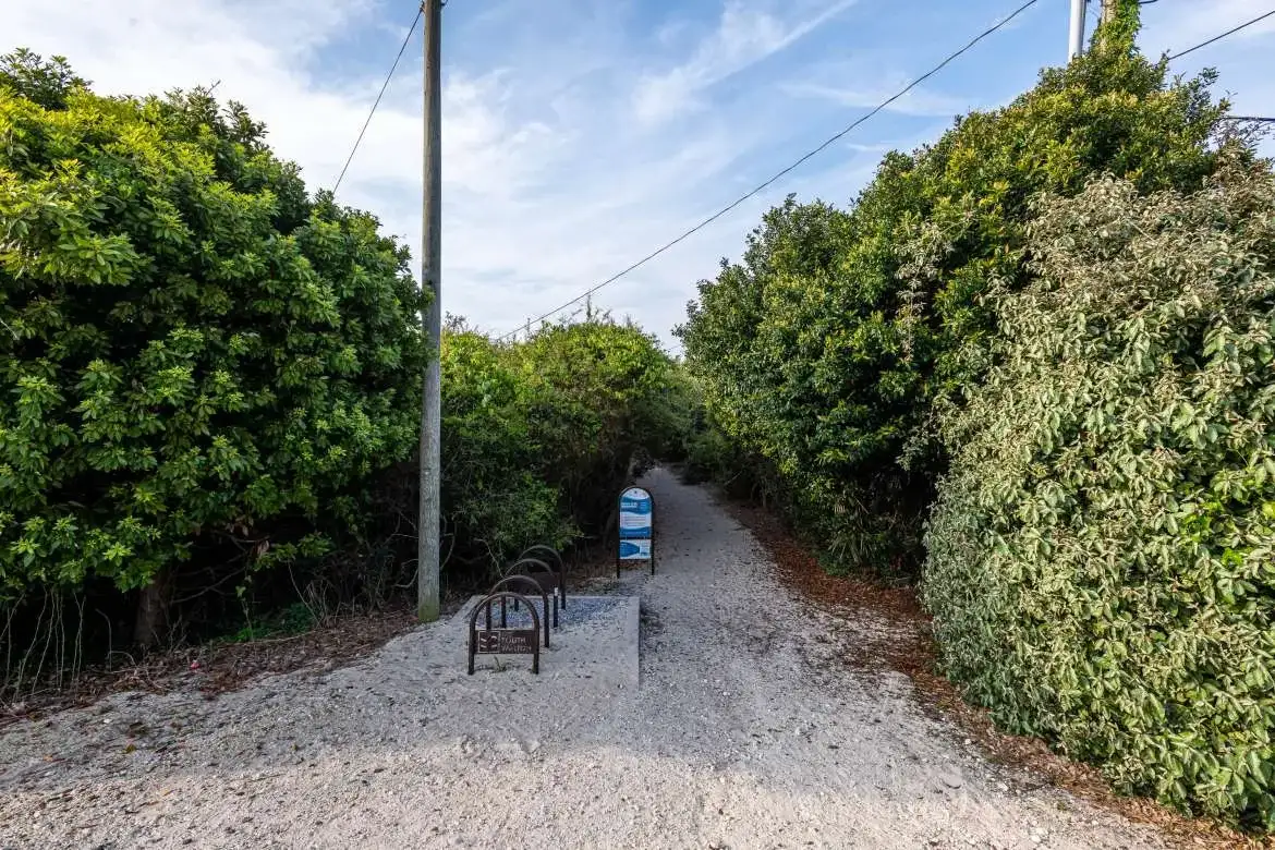 Blue Lake Road Access