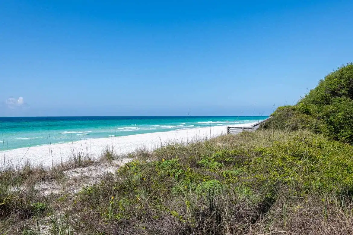 One Seagrove Access