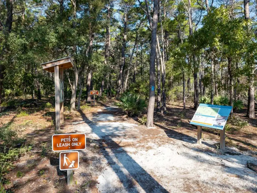 Flatwoods Hiking & Biking Trail In Grayton Beach