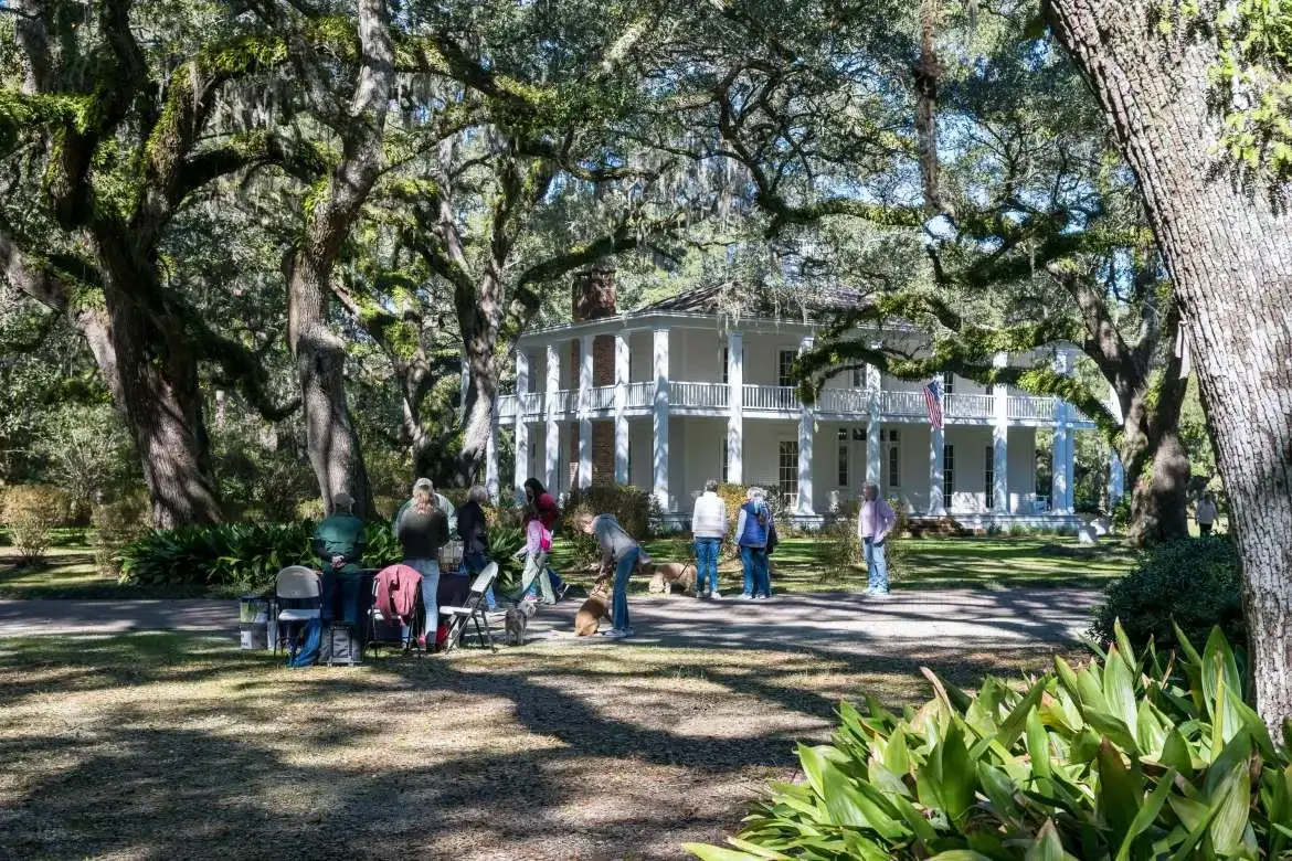 Camellia Festival At Eden Gardens State Park
