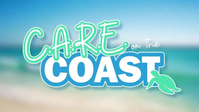 C.A.R.E. on the Coast: A Sea Turtle Spectacle