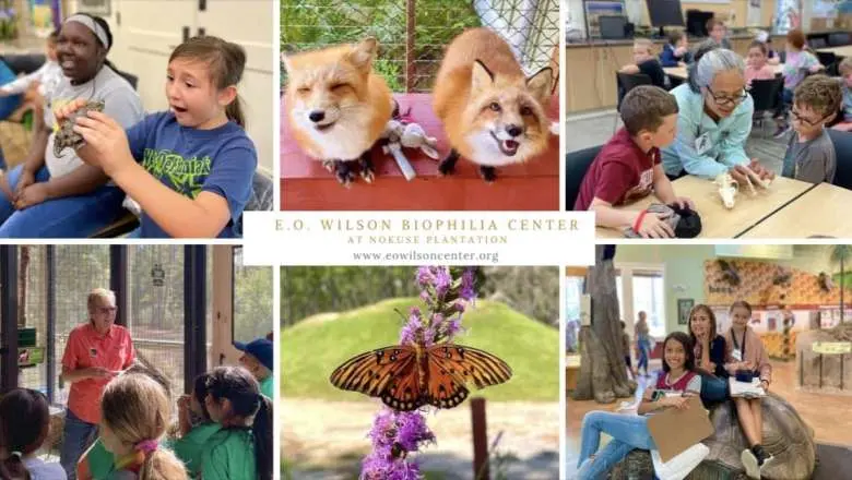 Biophilia Center Summer Splash