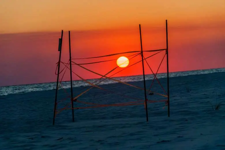 2026 SoWal Sea Turtle Nesting Season Wrapup