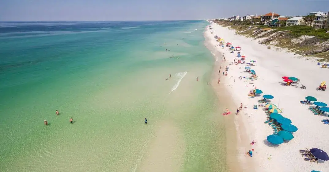 Volunteer Opportunities For Our South Walton Community