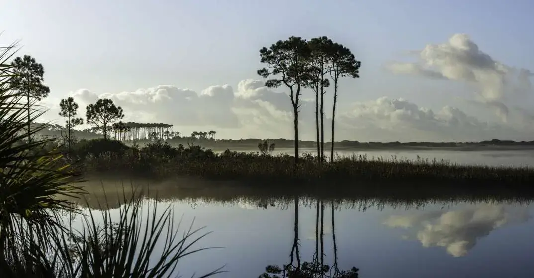Spring Reveals Our Spectacular South Walton Coastal Dune Lakes