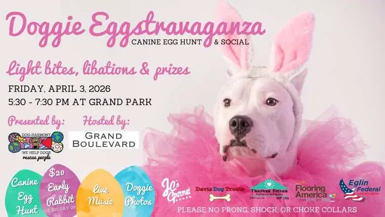 Doggie Eggstravaganza at Grand Boulevard