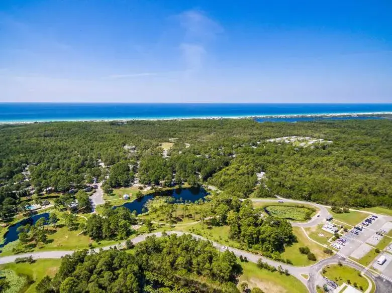 Guided Plant Tour at Topsail State Park