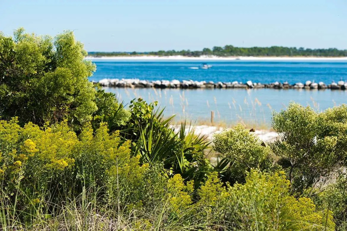 St. Andrews State Park