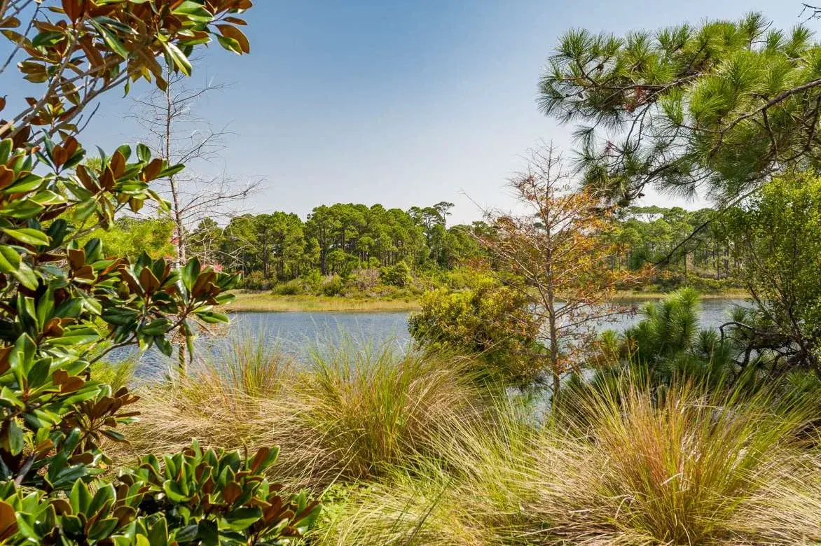 Allen Lake
