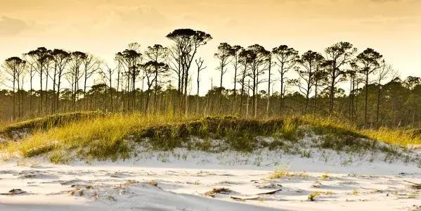 Topsail Hill Preserve State Park