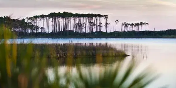 Grayton Beach State Park