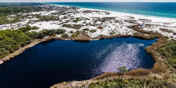 Alligator Lake