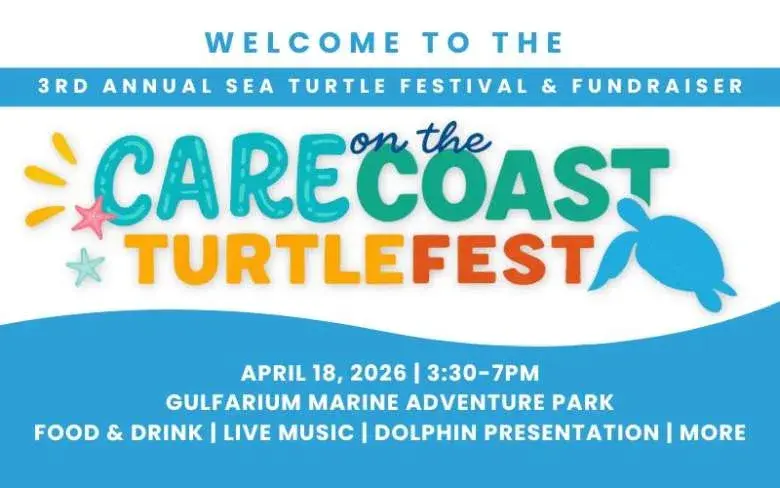 CARE on the Coast Turtle Fest