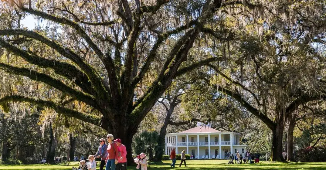 Camellia Festival at Eden Gardens State Park Feb 7