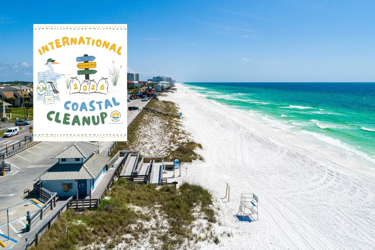 International Coastal Cleanup In South Walton