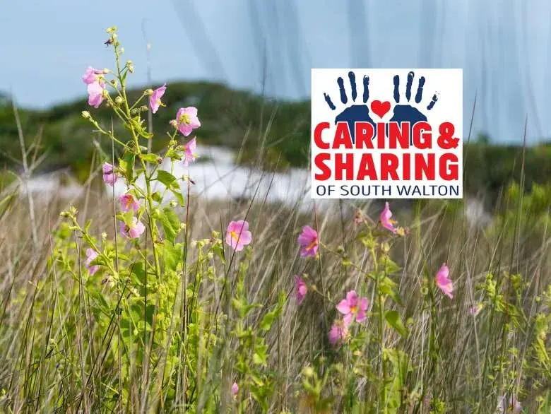 Caring & Sharing The Glow of Giving
