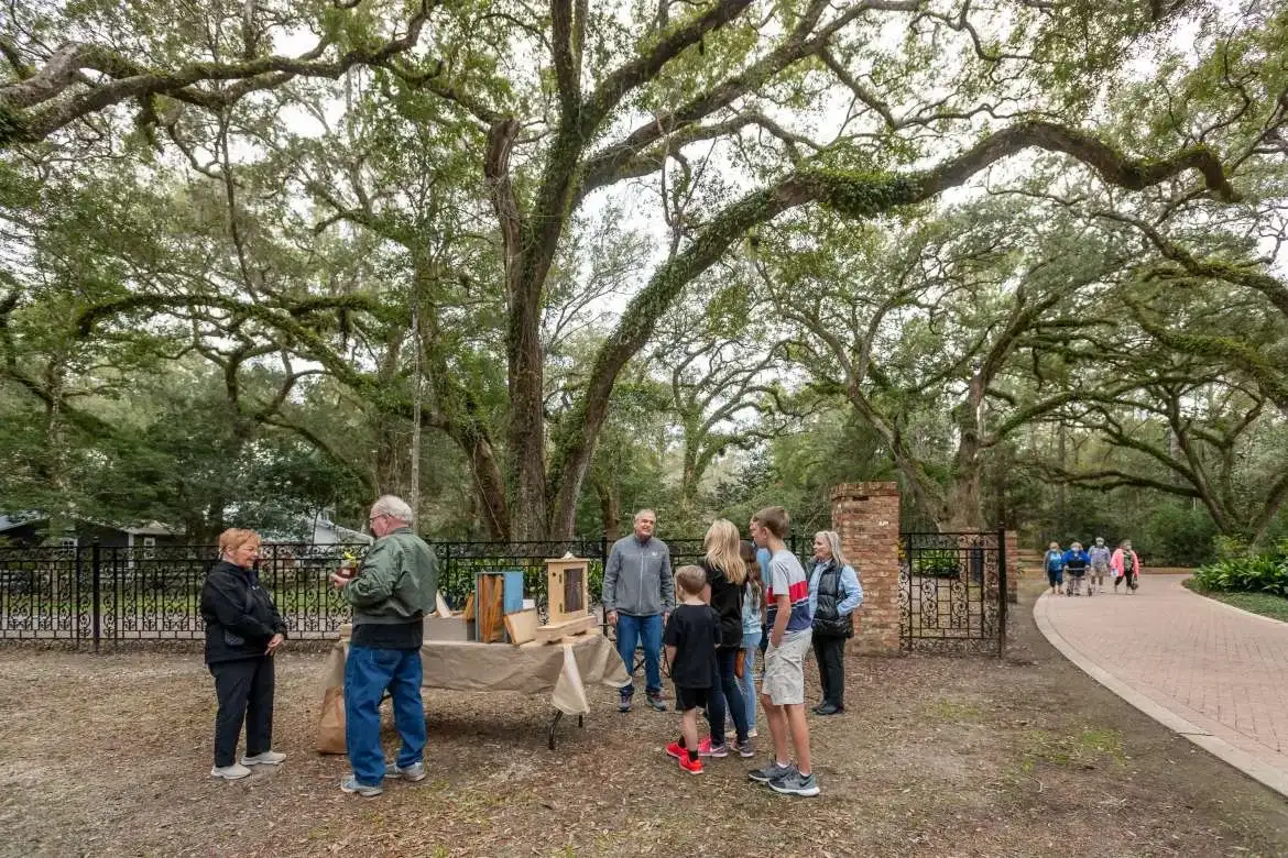 Camellia Festival At Eden Gardens State Park Photo Gallery
