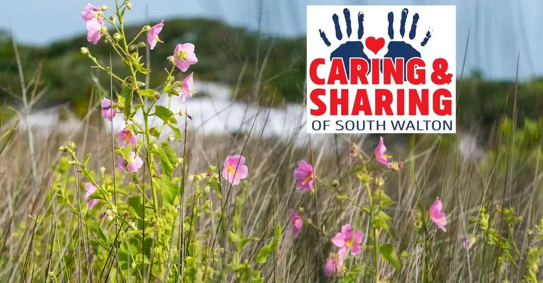 Night Of Hope Concert Jan 30 Benefiting Caring & Sharing of South Walton