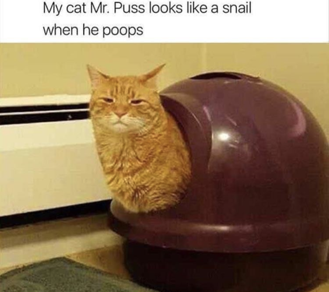 1000001870.png