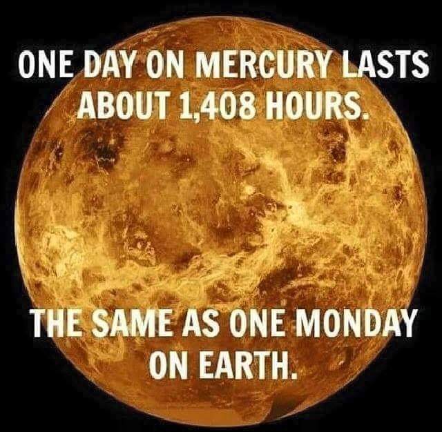 1000005011.jpg