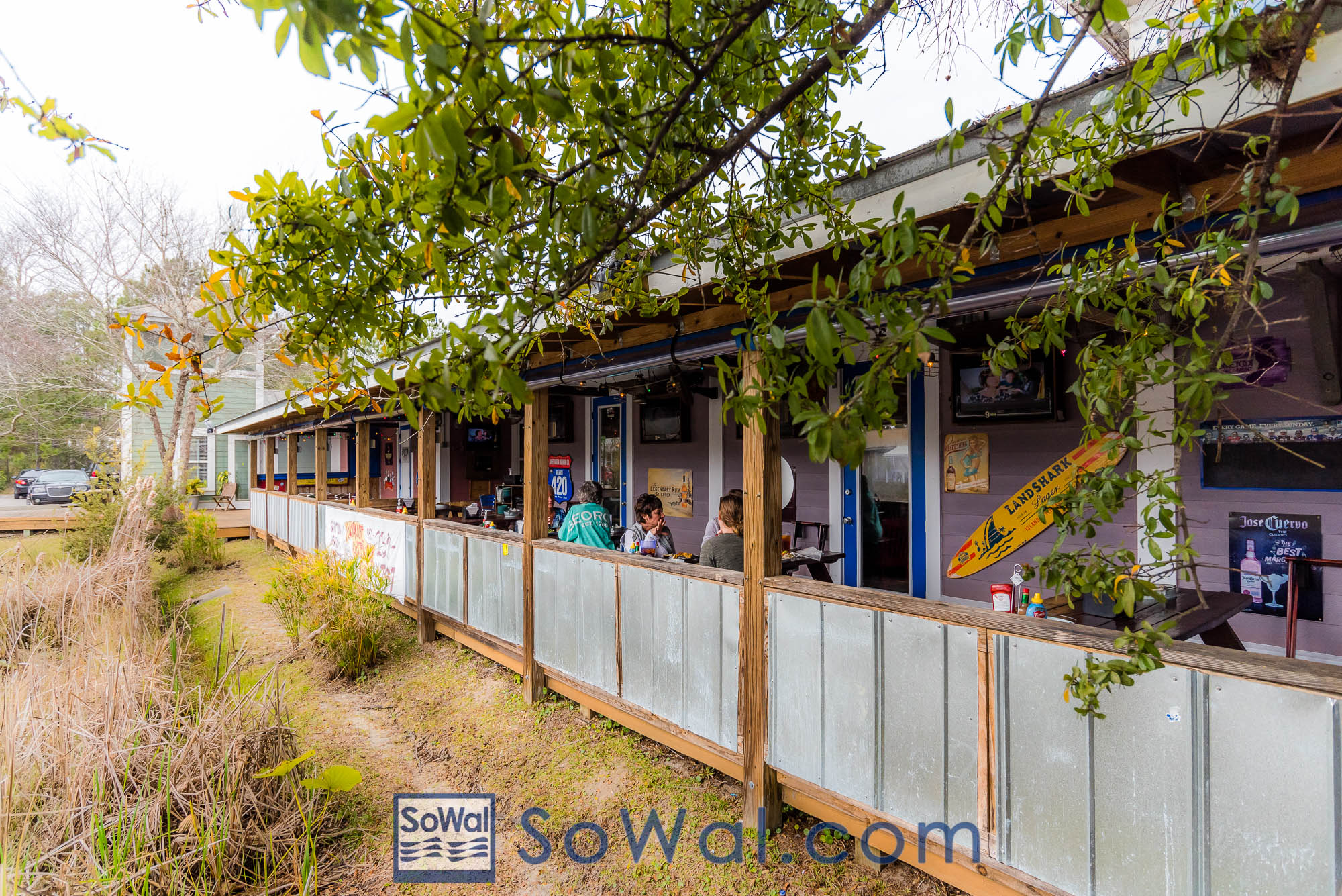 160201-Hurrricanes-005-sowal-2000.jpg