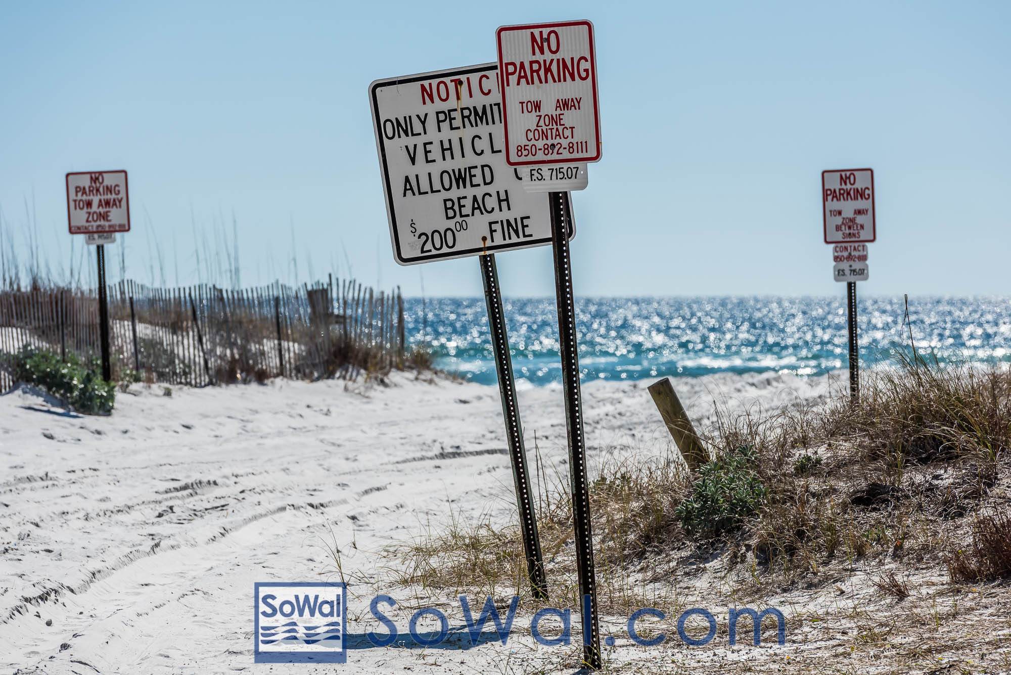 160216-grayton-006-sowal-2000.jpg